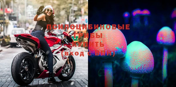 герыч Зеленодольск
