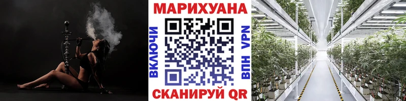 Купить закладки  Трубчевск  Конопля AK-47 